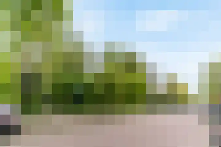 Raaphorst 59 Leiderdorp thumbnail 34