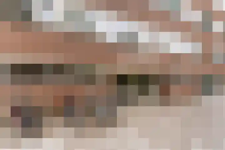 Raaphorst 59 Leiderdorp thumbnail 4