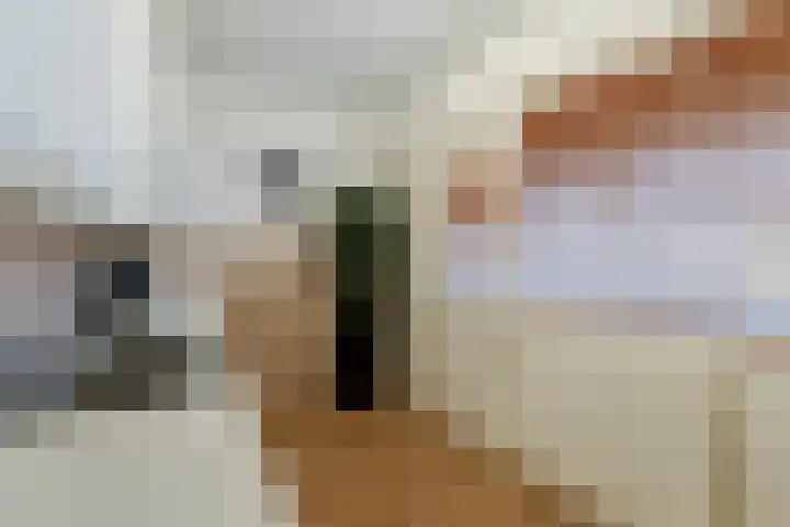 Raaphorst 81 Leiderdorp thumbnail 15