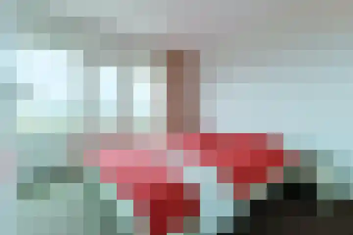 Raaphorst 81 Leiderdorp thumbnail 27