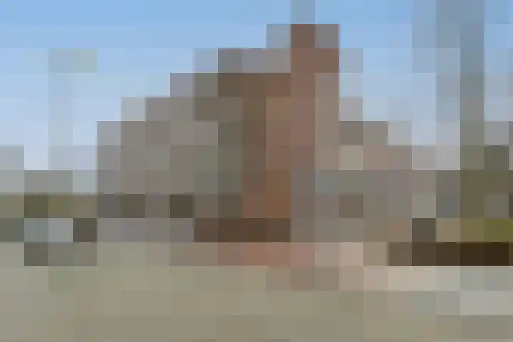 Raaphorst 81 Leiderdorp thumbnail 6