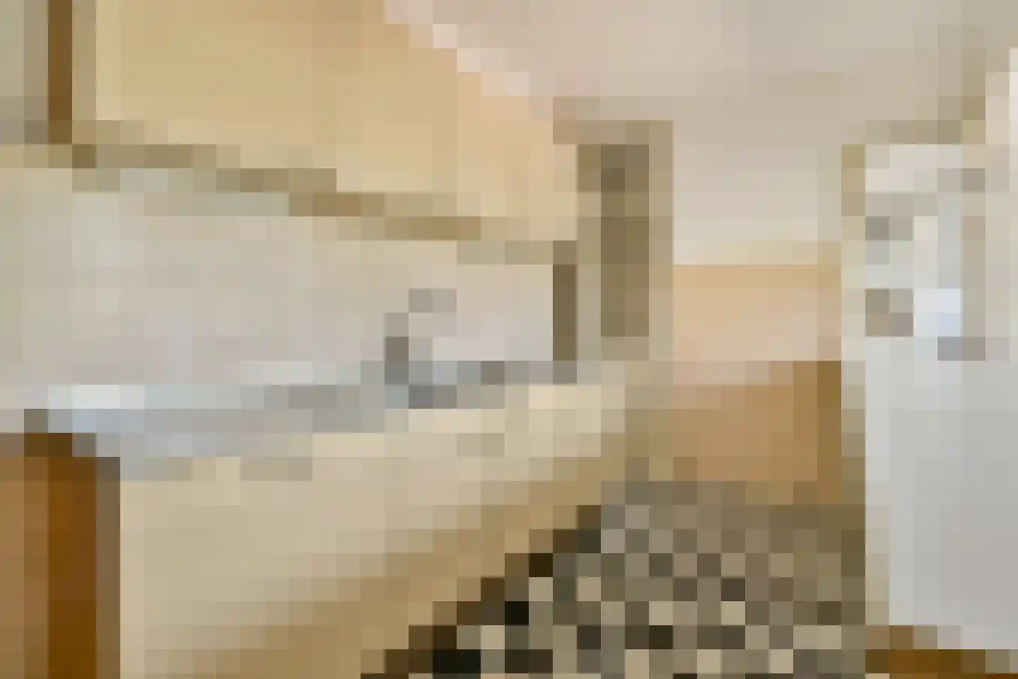 Raaphorst 91 Leiderdorp thumbnail 4