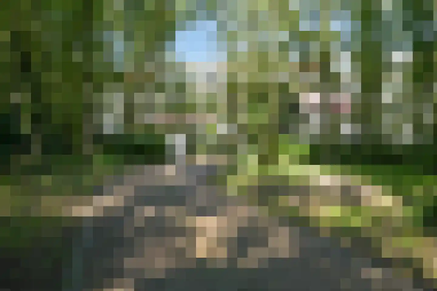 Raaphorstlaan 19 D Wassenaar thumbnail 108