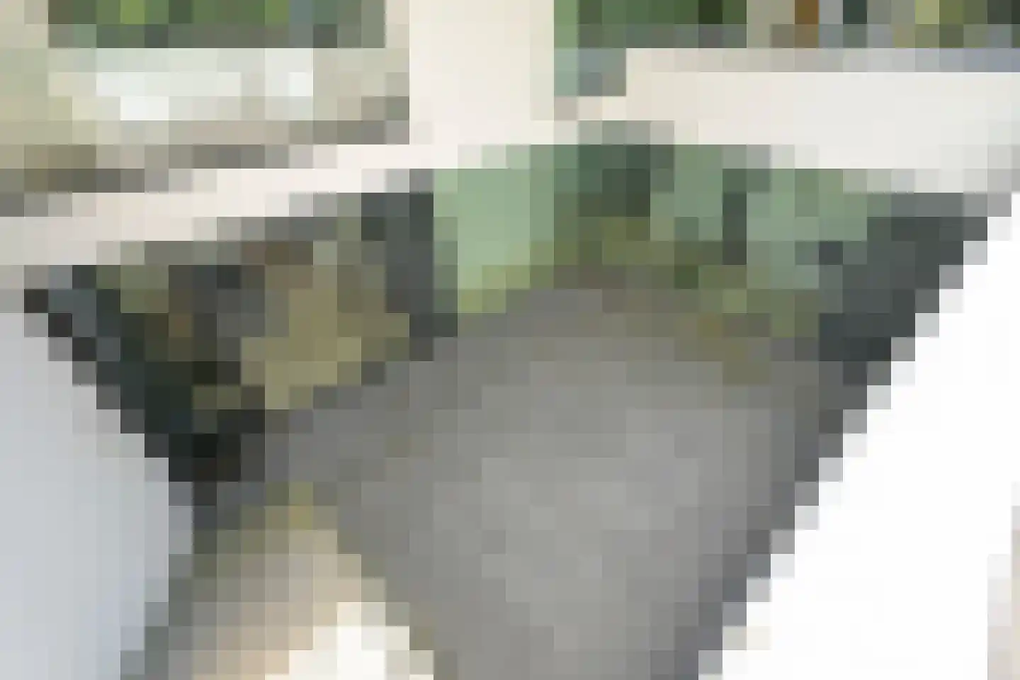 Raaphorstlaan 19 D Wassenaar thumbnail 11