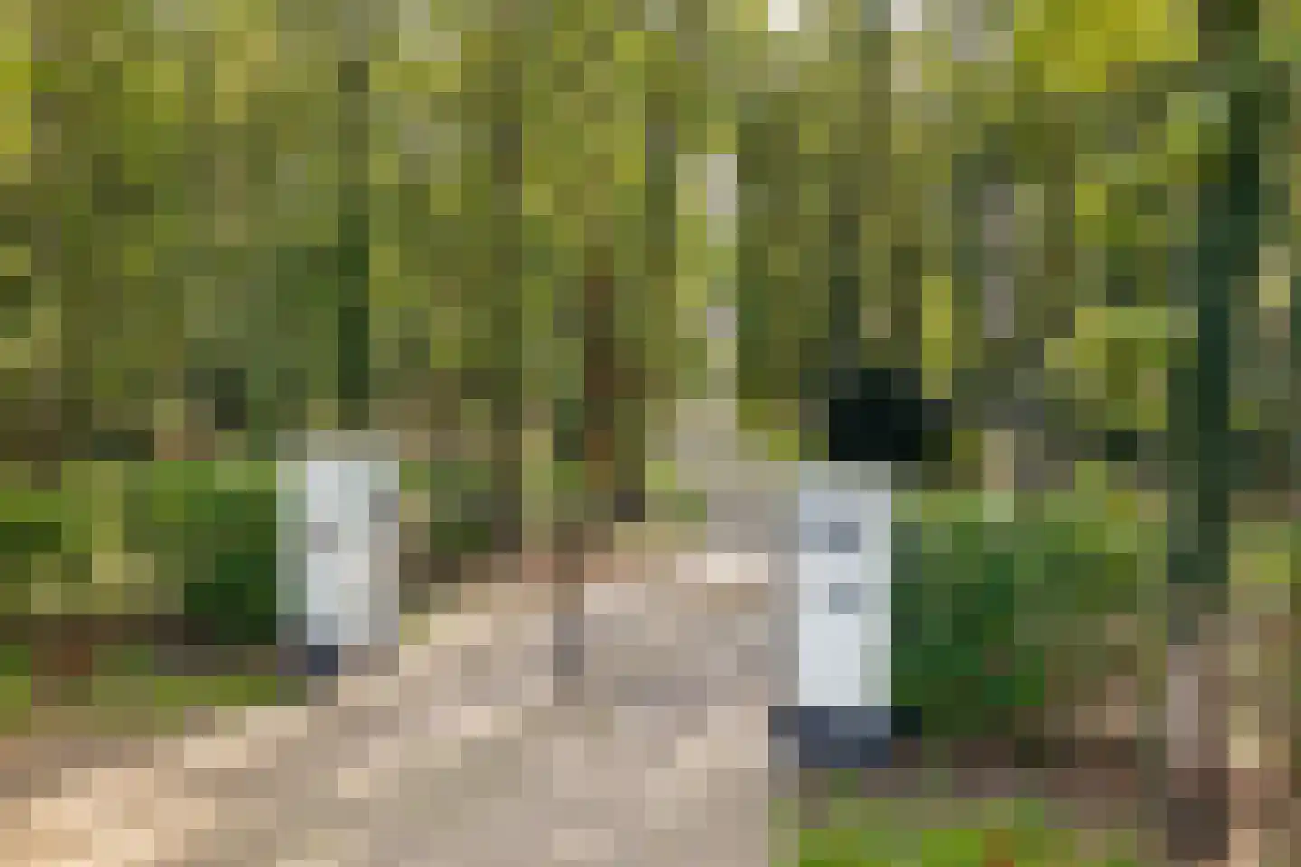 Raaphorstlaan 19 D Wassenaar thumbnail 11