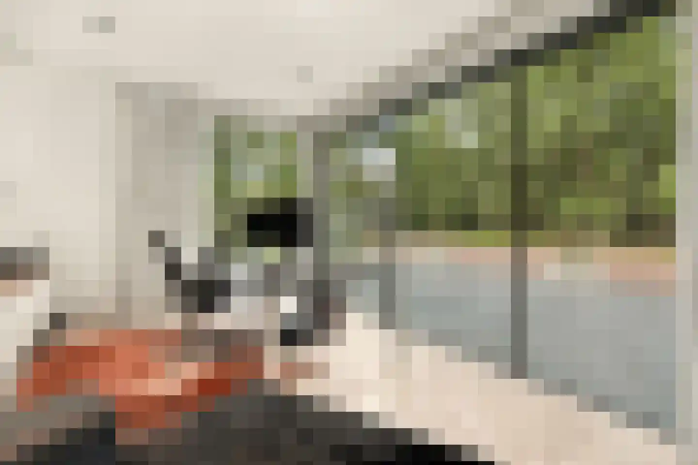 Raaphorstlaan 19 D Wassenaar thumbnail 13