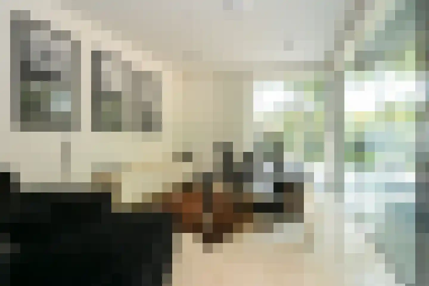 Raaphorstlaan 19 D Wassenaar thumbnail 16