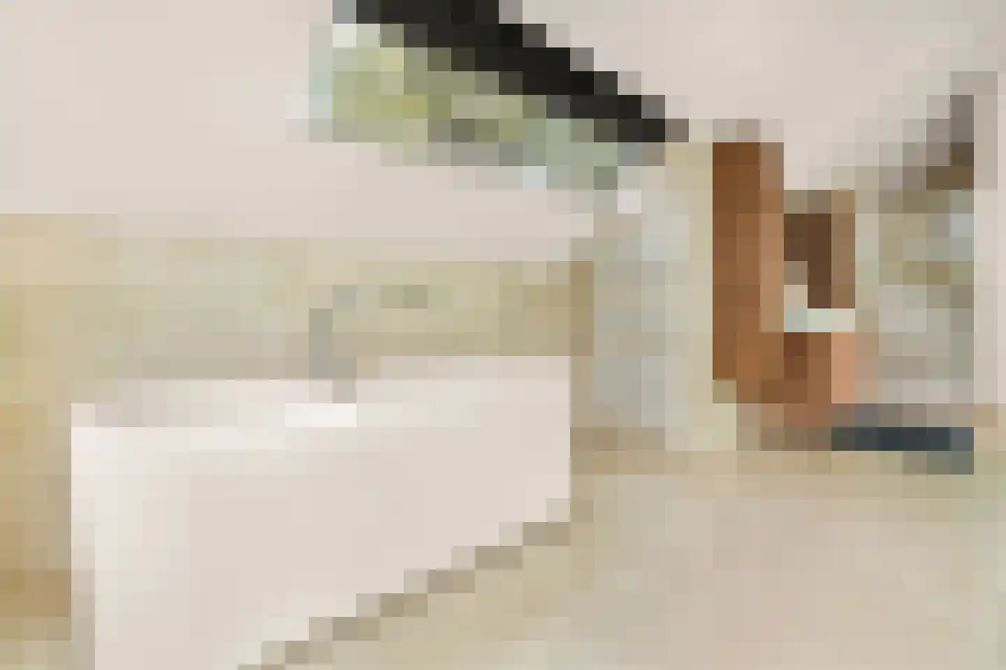Raaphorstlaan 19 D Wassenaar thumbnail 20