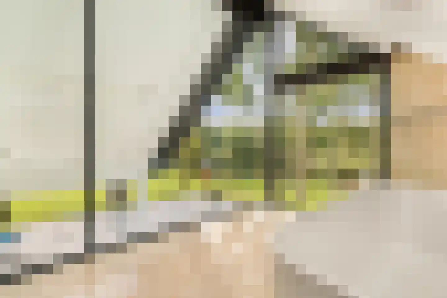Raaphorstlaan 19 D Wassenaar thumbnail 22