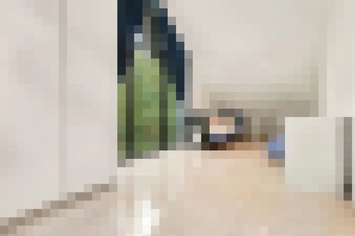 Raaphorstlaan 19 D Wassenaar thumbnail 24