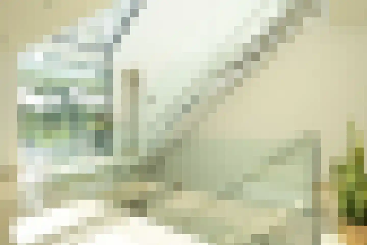 Raaphorstlaan 19 D Wassenaar thumbnail 30