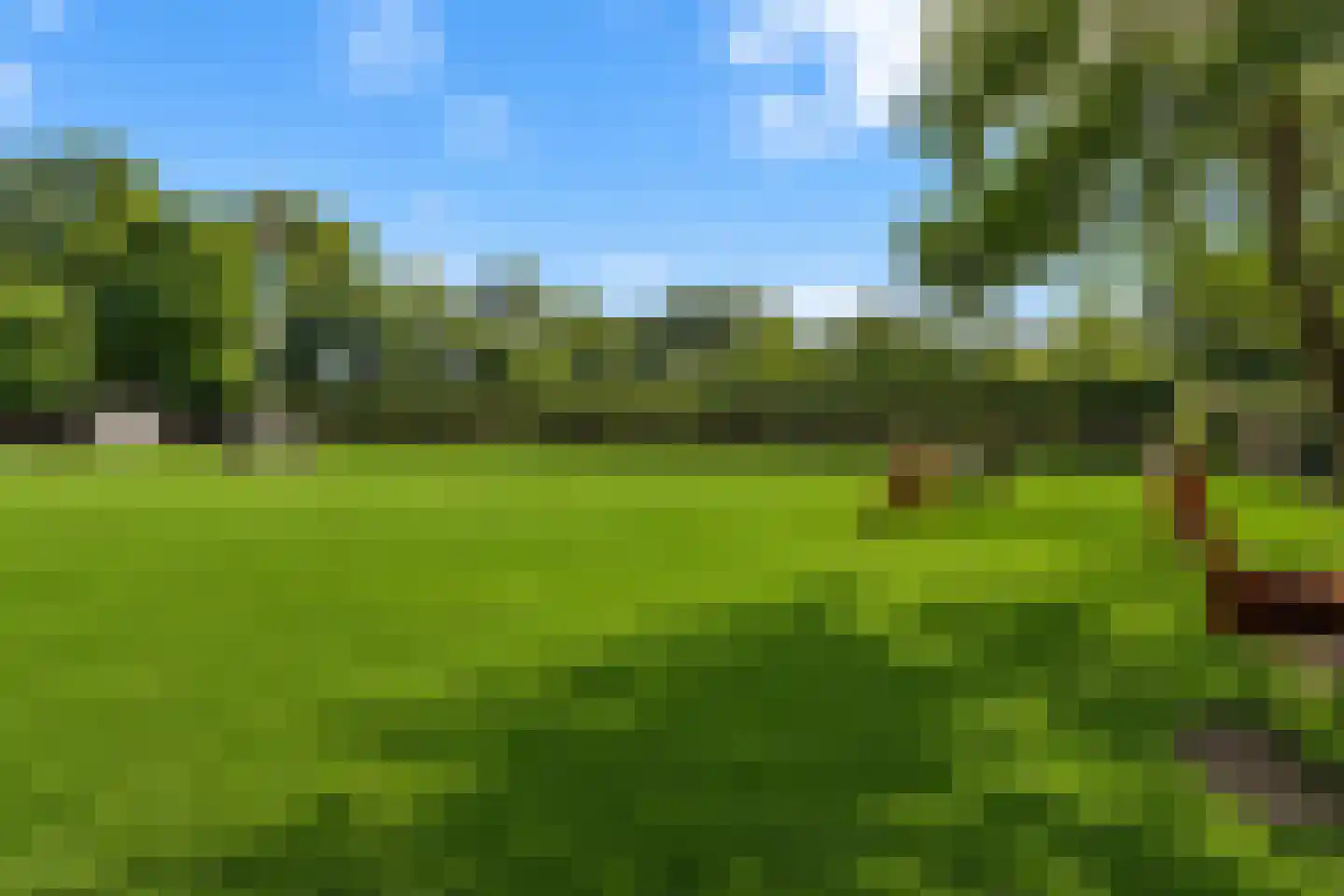 Raaphorstlaan 19 D Wassenaar thumbnail 39