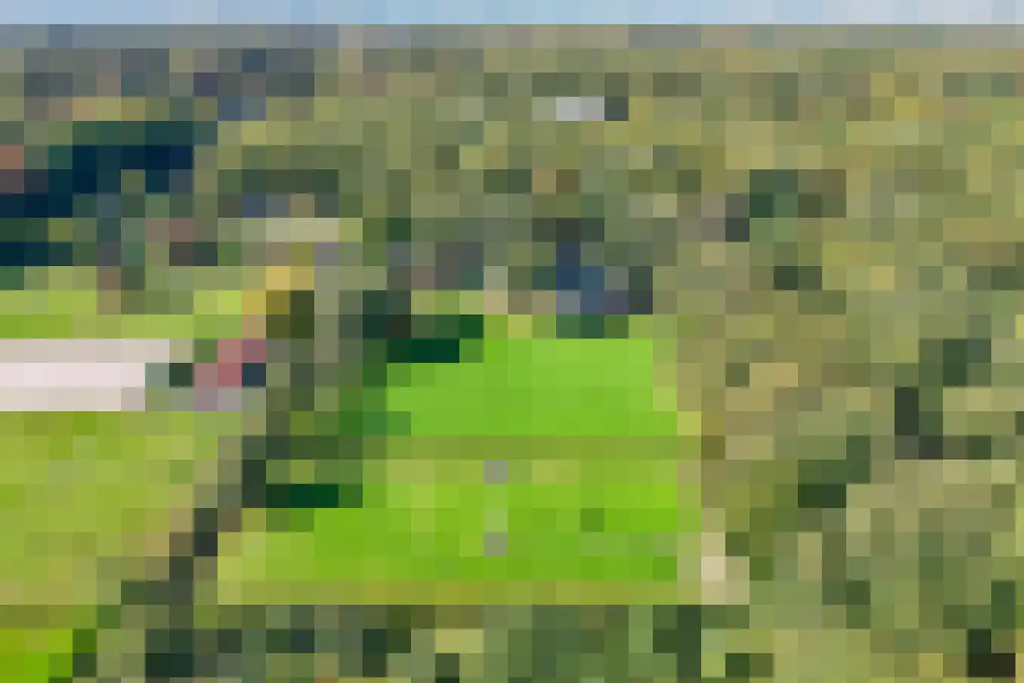 Raaphorstlaan 19 D Wassenaar thumbnail 4