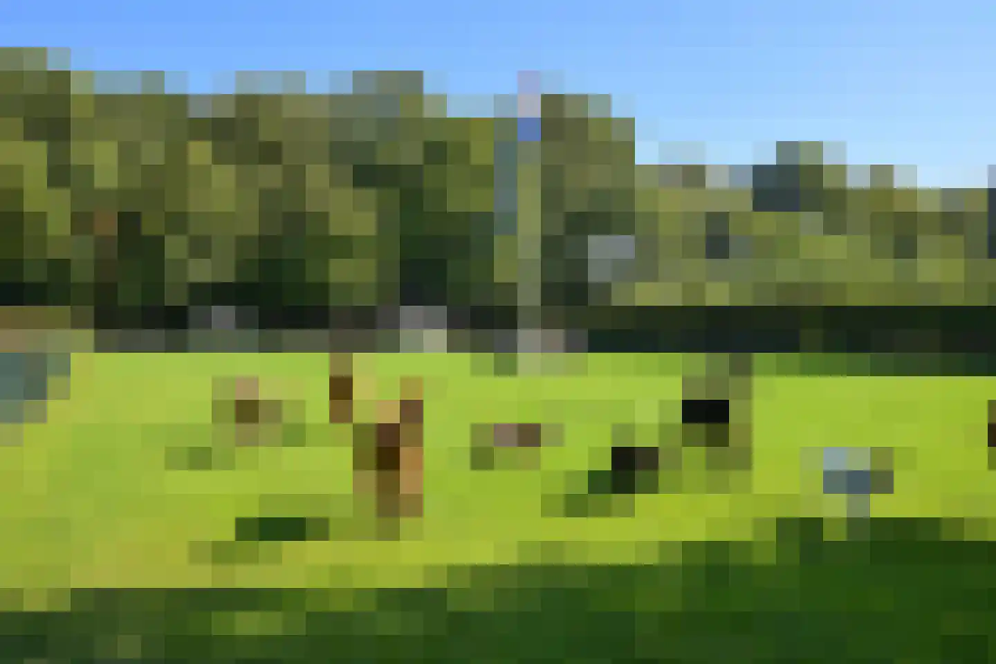 Raaphorstlaan 19 D Wassenaar thumbnail 4
