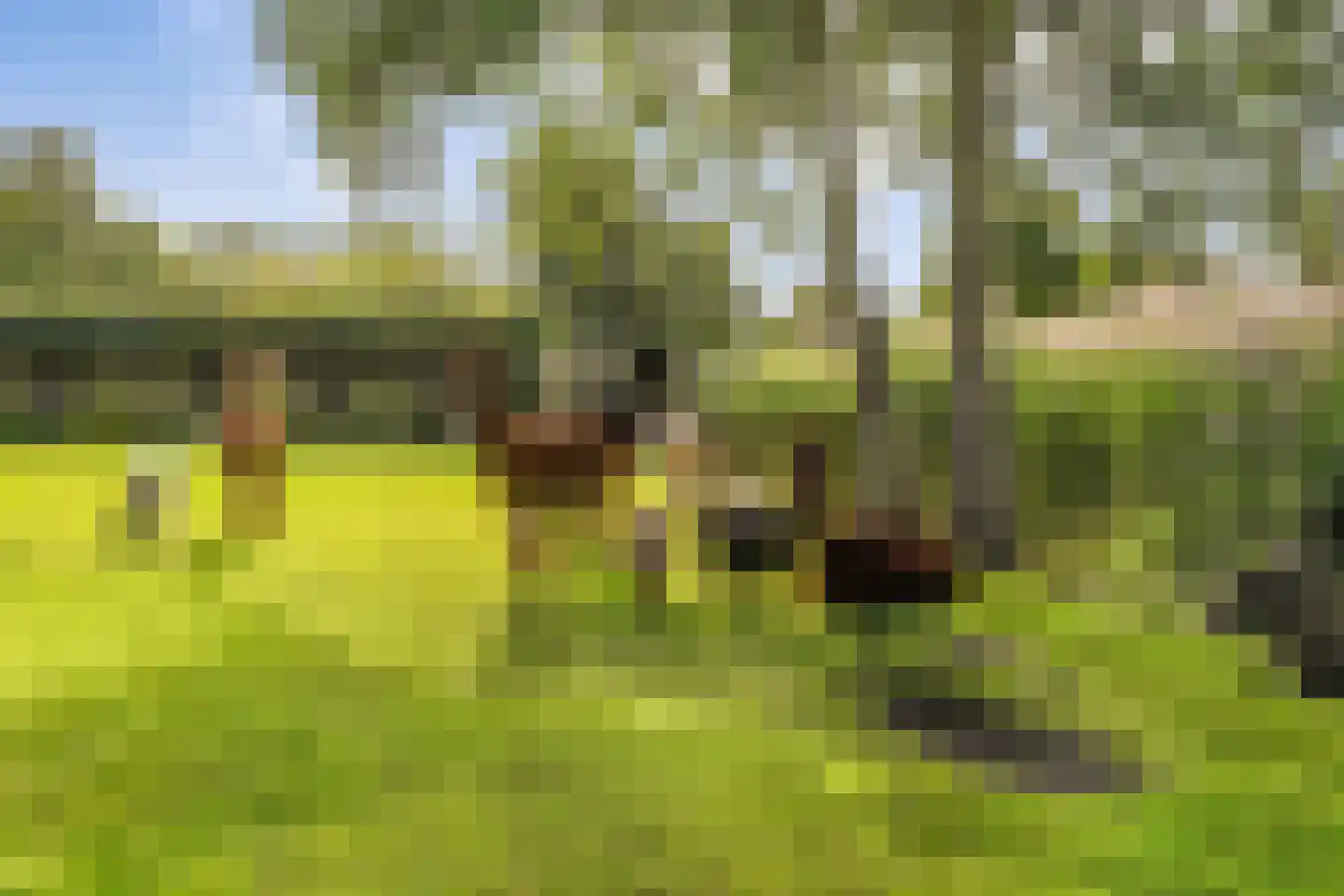 Raaphorstlaan 19 D Wassenaar thumbnail 40