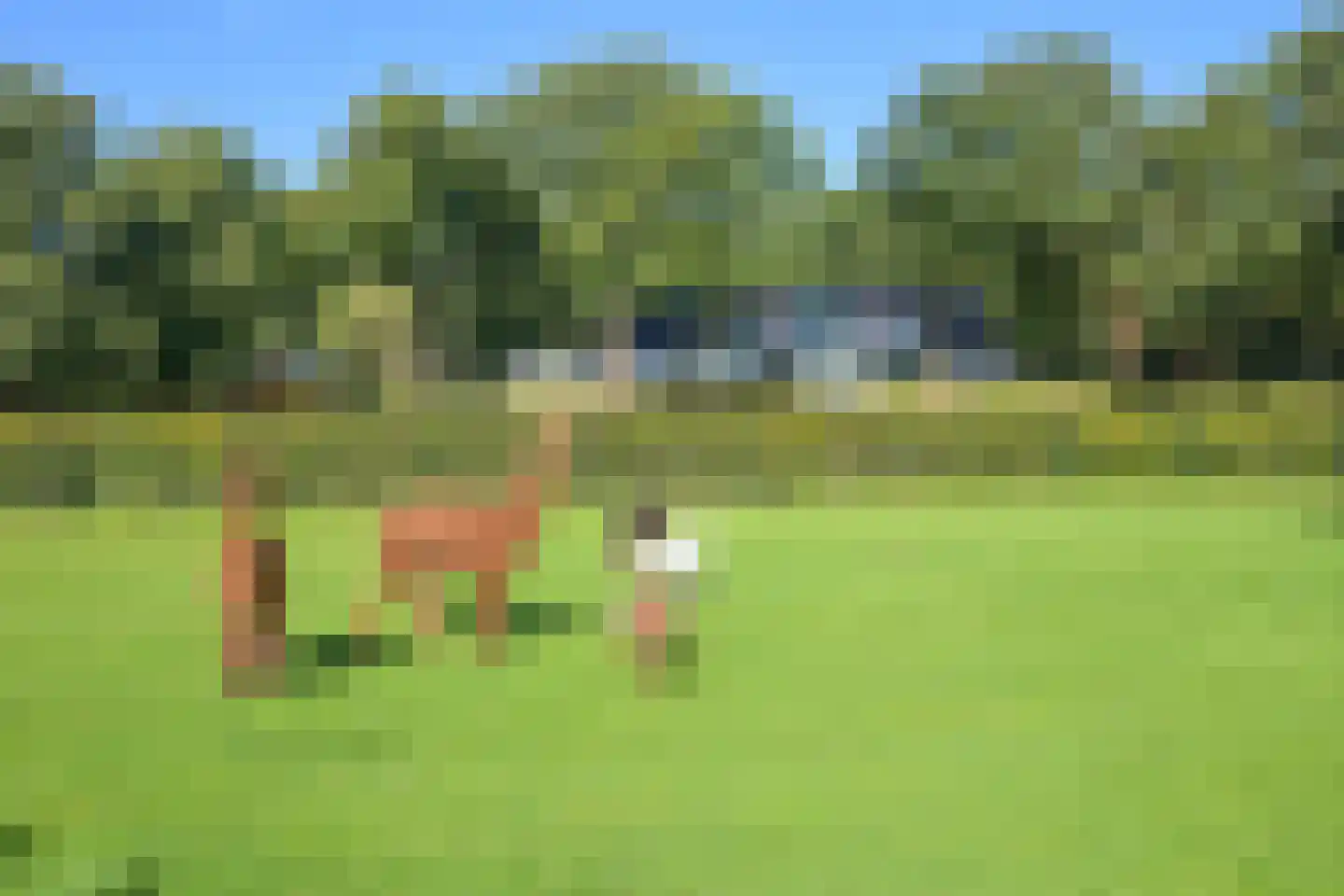 Raaphorstlaan 19 D Wassenaar thumbnail 53
