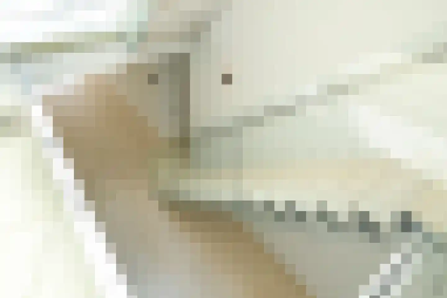 Raaphorstlaan 19 D Wassenaar thumbnail 54