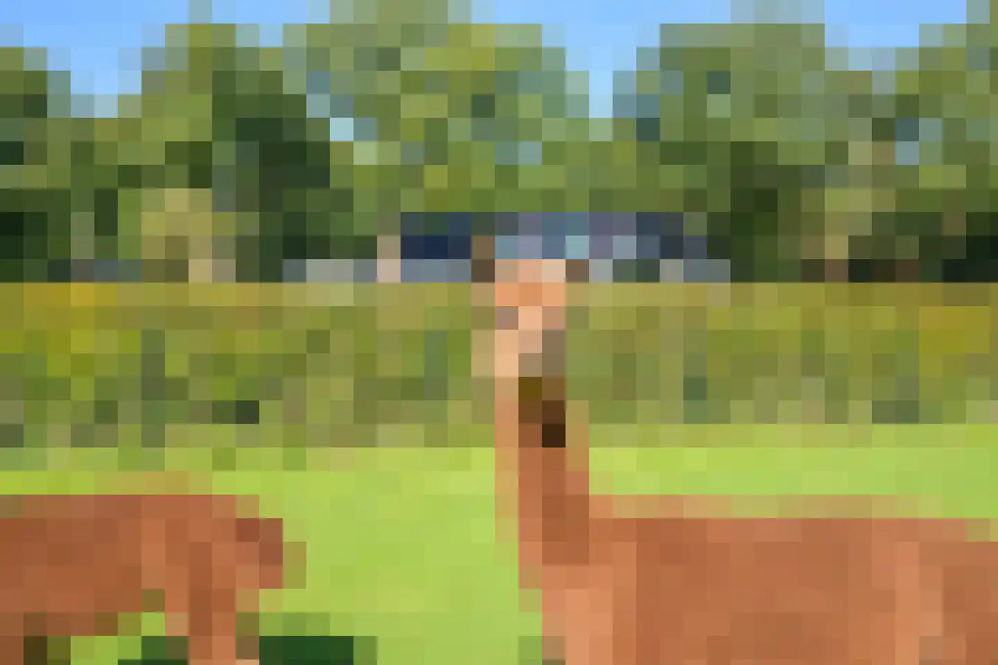 Raaphorstlaan 19 D Wassenaar thumbnail 54