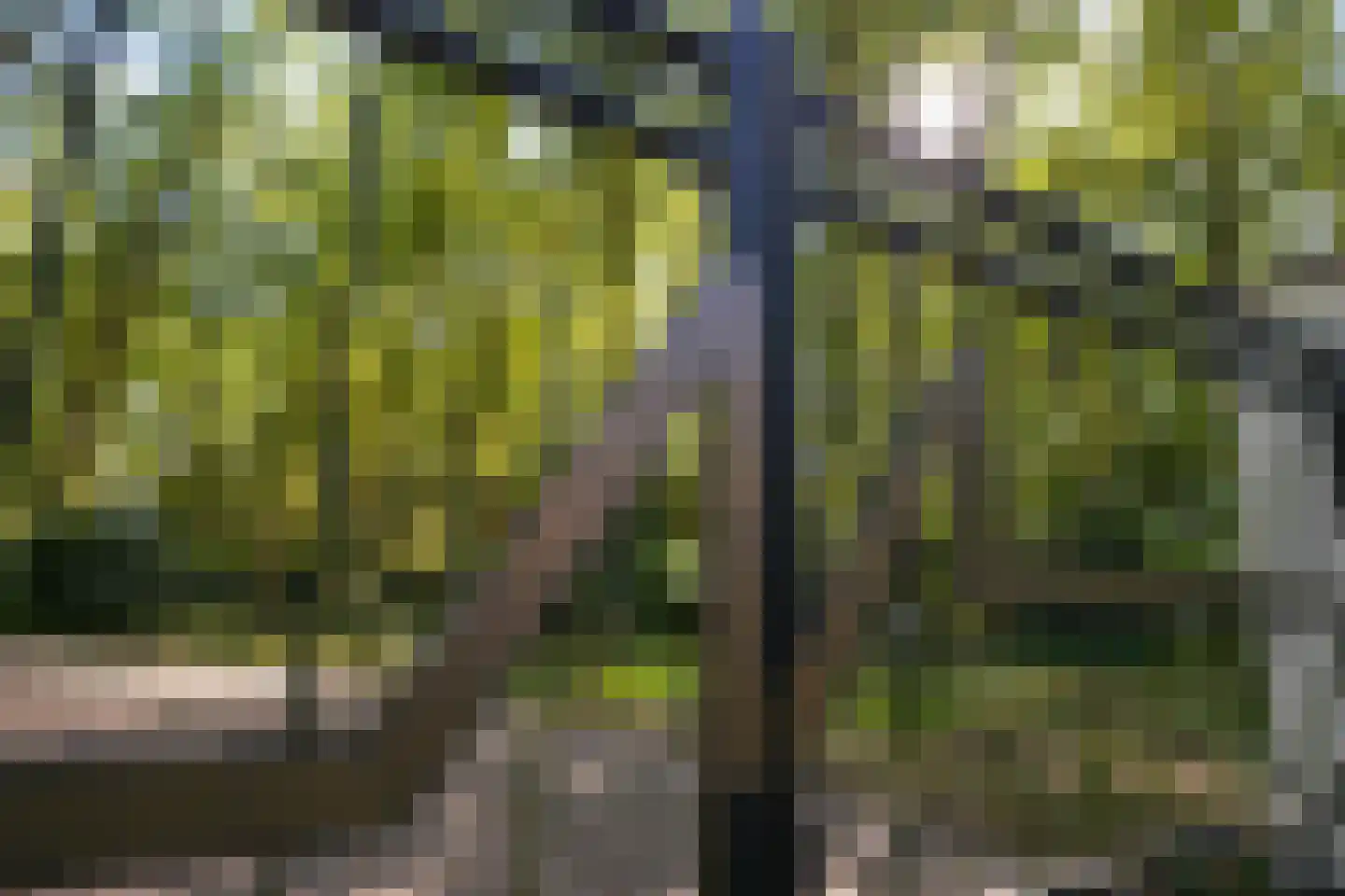 Raaphorstlaan 19 D Wassenaar thumbnail 6