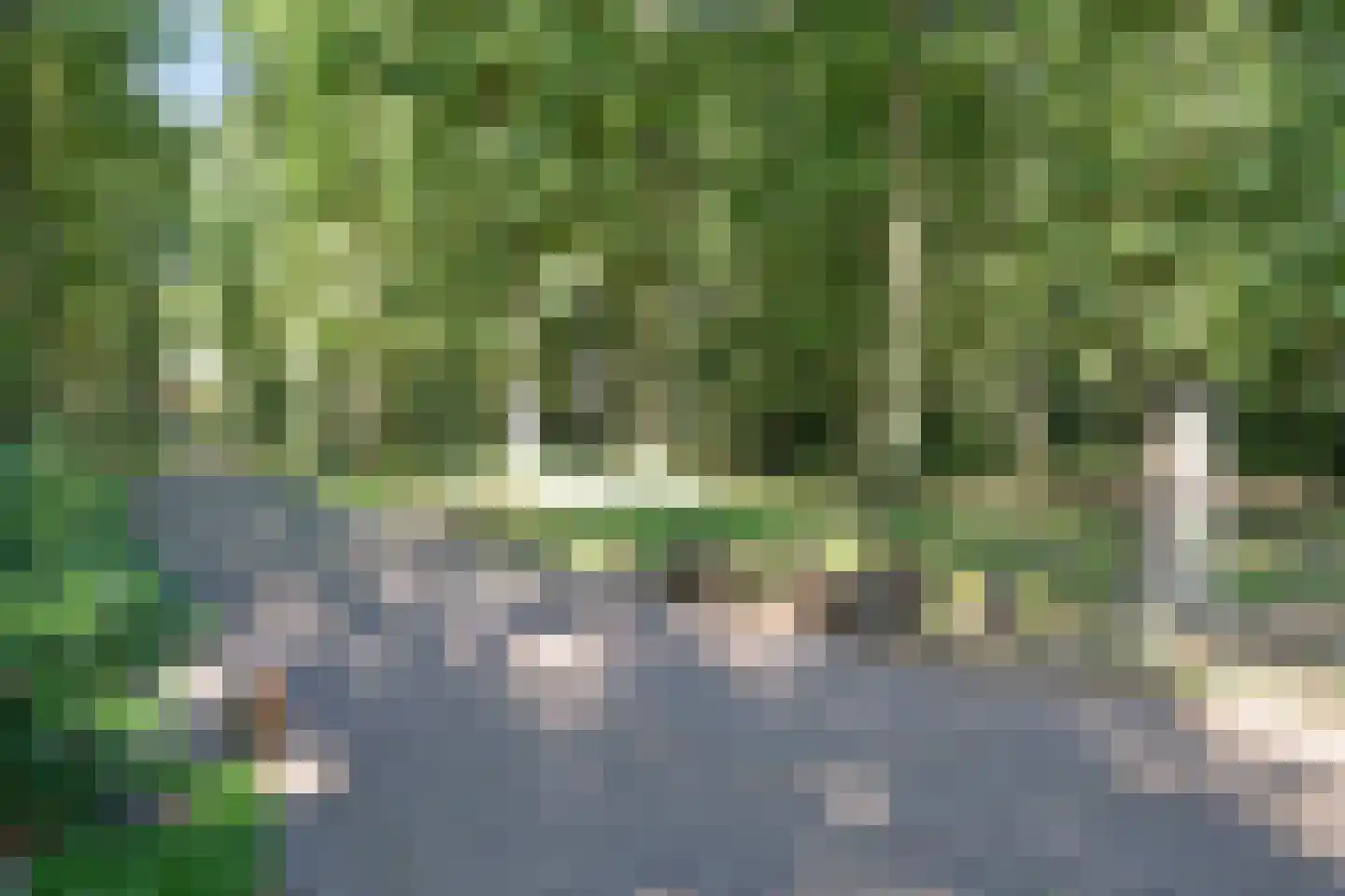 Raaphorstlaan 19 D Wassenaar thumbnail 6