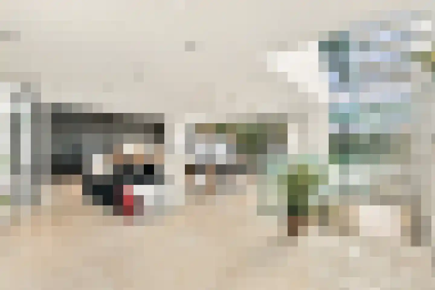 Raaphorstlaan 19 D Wassenaar thumbnail 7