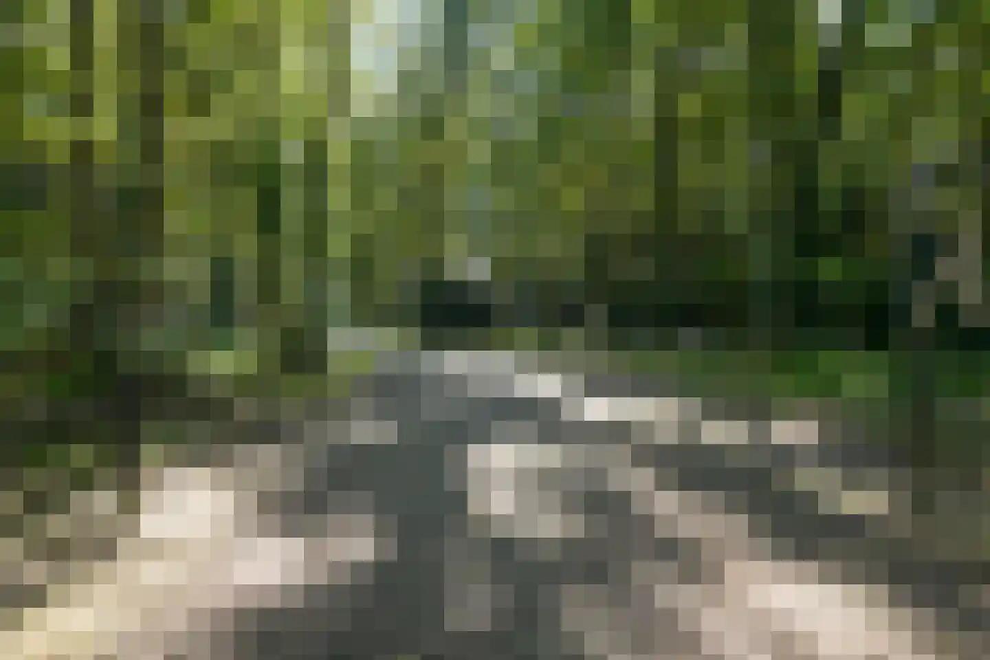 Raaphorstlaan 19 D Wassenaar thumbnail 7
