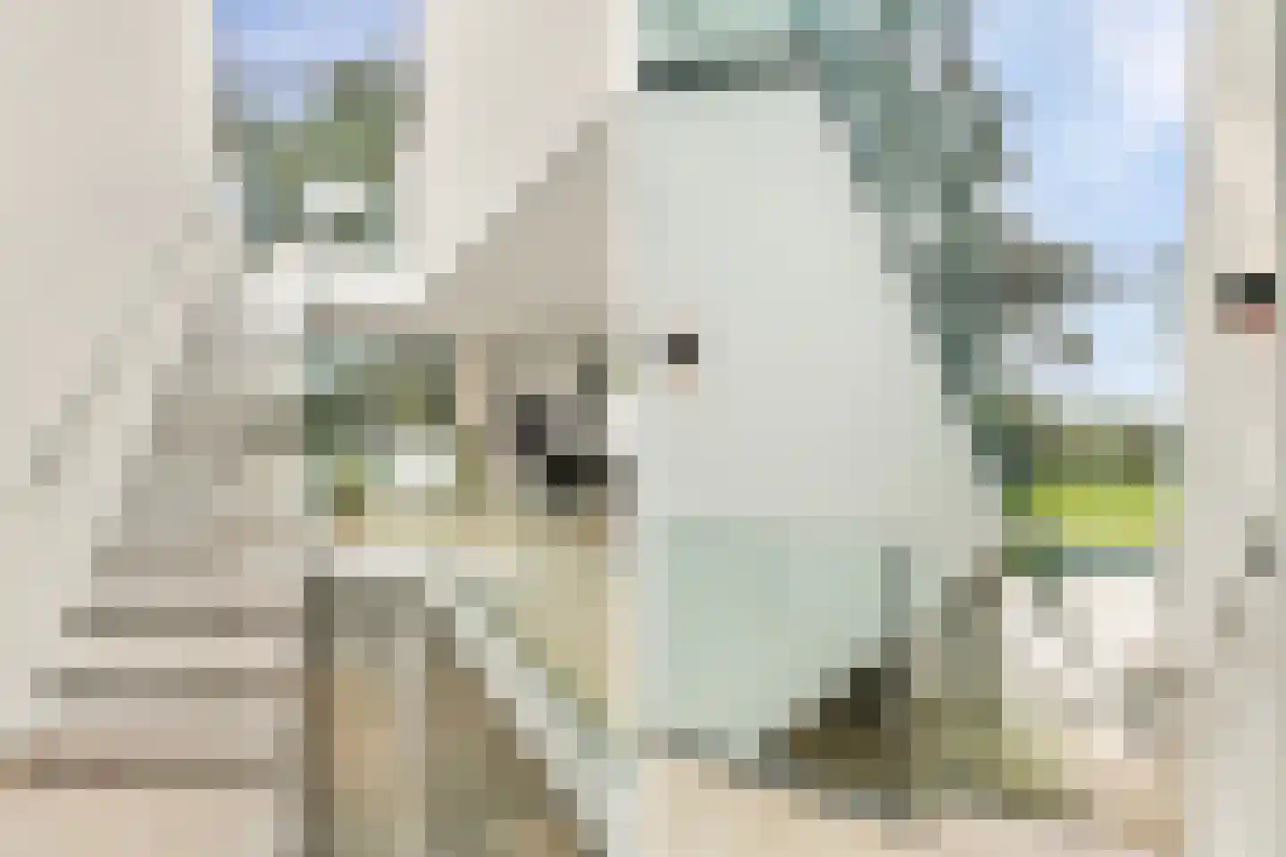 Raaphorstlaan 19 D Wassenaar thumbnail 8