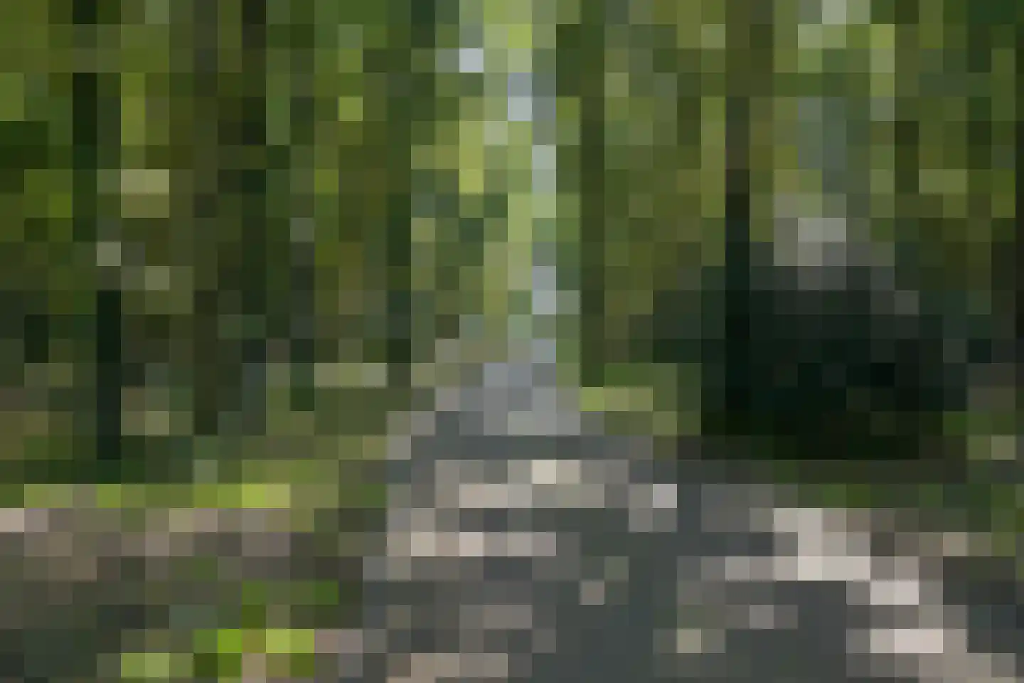 Raaphorstlaan 19 D Wassenaar thumbnail 8
