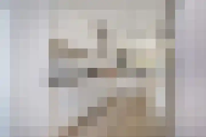 Raaphorstlaan 26 Den Haag thumbnail 13