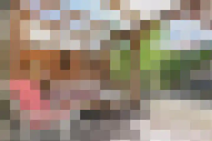 Raaphorstlaan 26 Den Haag thumbnail 17