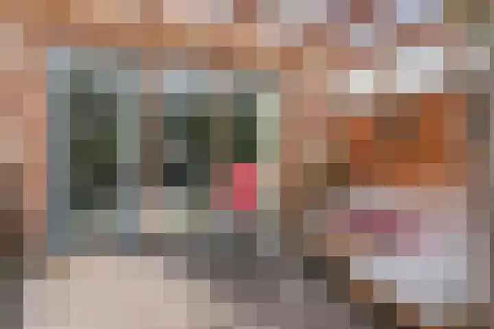 Raaphorstlaan 26 Den Haag thumbnail 20