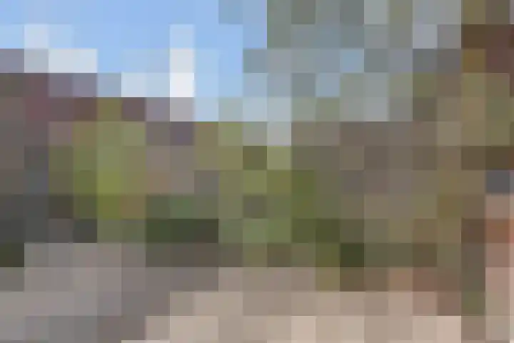 Raaphorstlaan 26 Den Haag thumbnail 21