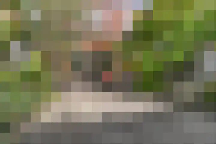 Raaphorstlaan 26 Den Haag thumbnail 23