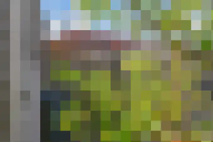 Raaphorstlaan 26 Den Haag thumbnail 24