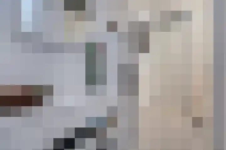 Raaphorstlaan 26 Den Haag thumbnail 25