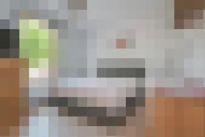 Raaphorstlaan 26 Den Haag thumbnail 31
