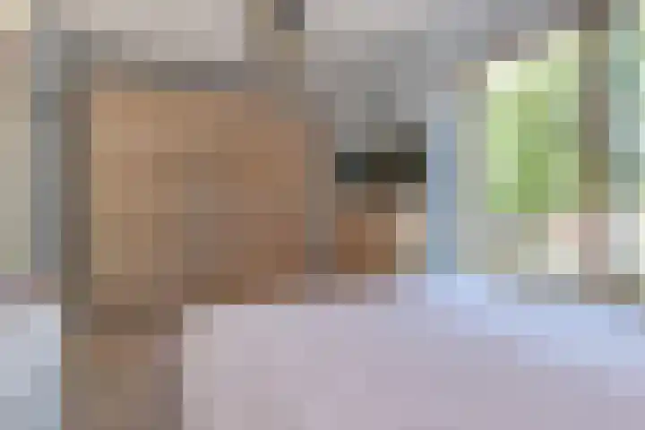 Raaphorstlaan 26 Den Haag thumbnail 33