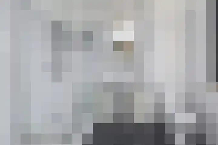 Raaphorstlaan 26 Den Haag thumbnail 34