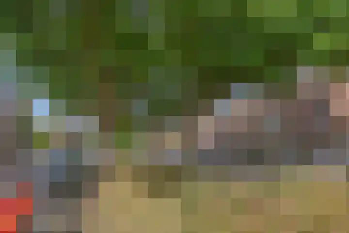 Raaphorstlaan 26 Den Haag thumbnail 39