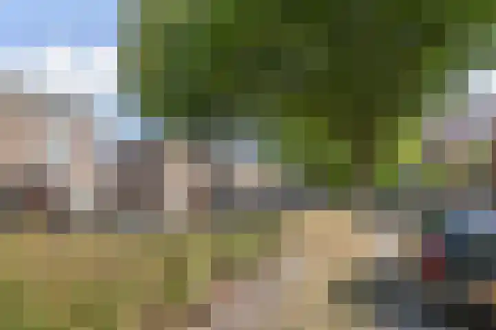 Raaphorstlaan 26 Den Haag thumbnail 40