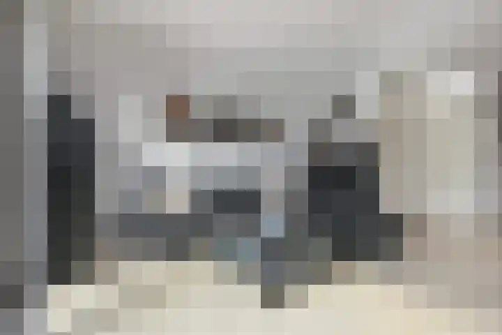 Raaphorstlaan 26 Den Haag thumbnail 8