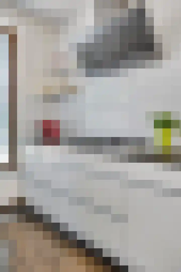 Raaphorstlaan 46 Den Haag thumbnail 12