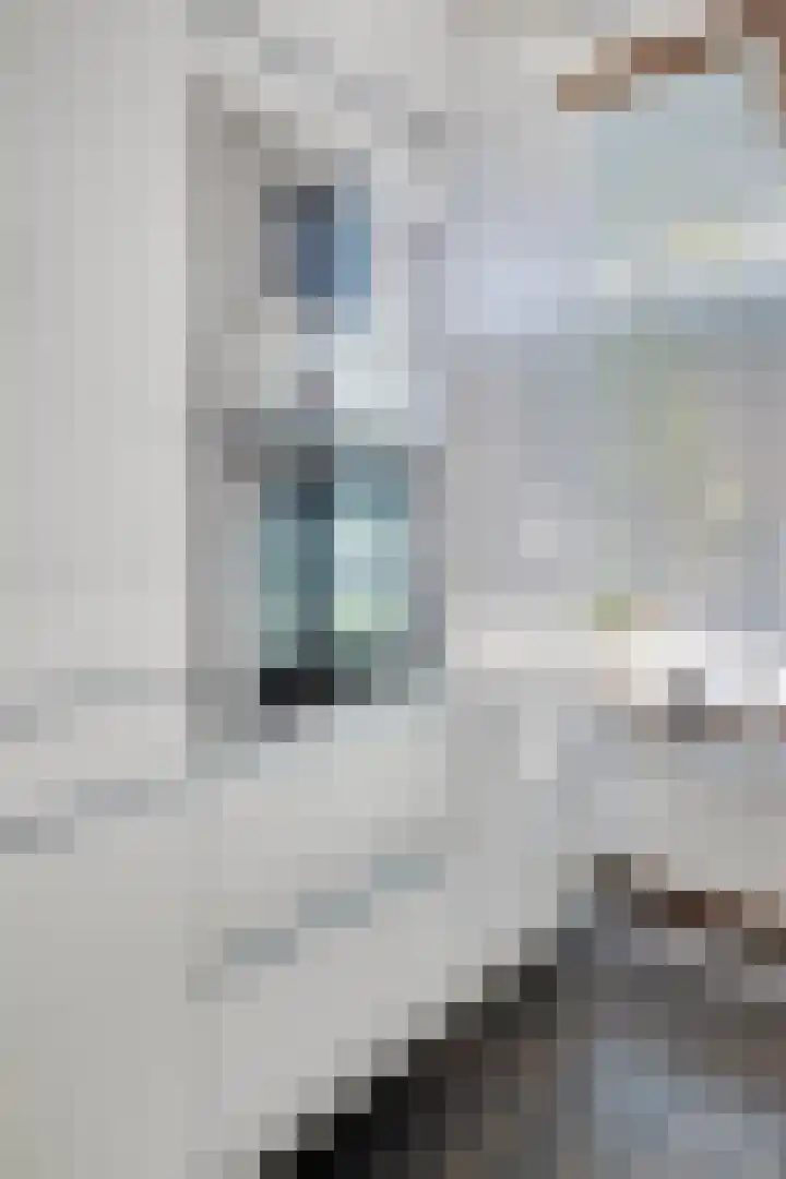 Raaphorstlaan 46 Den Haag thumbnail 13