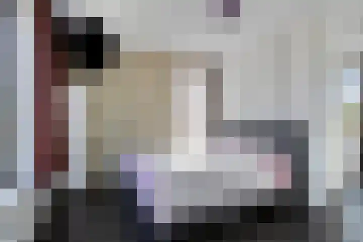Raaphorstlaan 46 Den Haag thumbnail 26