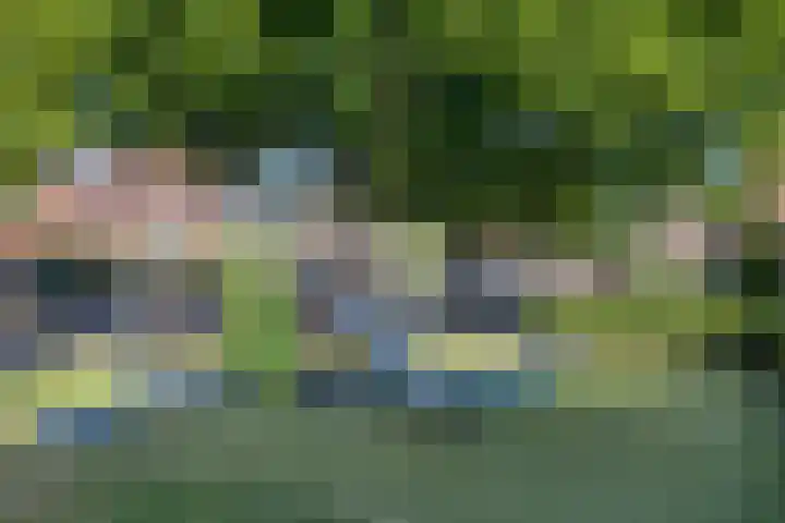 Raaphorstlaan 46 Den Haag thumbnail 34