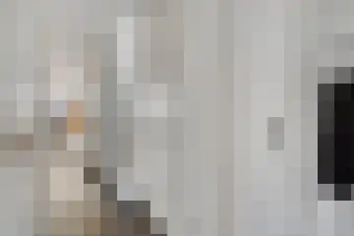 Raaphorstlaan 46 Den Haag thumbnail 4