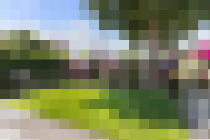 Raaphorstpolderweg 12 Gouda thumbnail 47