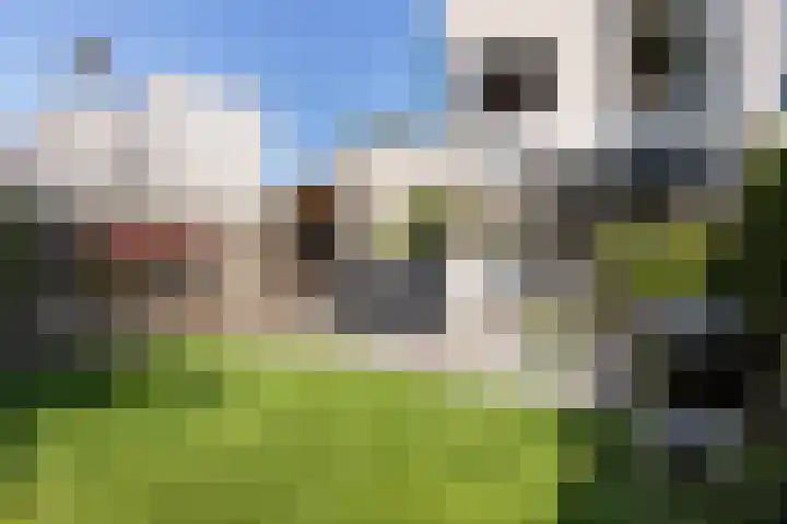 Raaphorstpolderweg 12 Gouda thumbnail 48