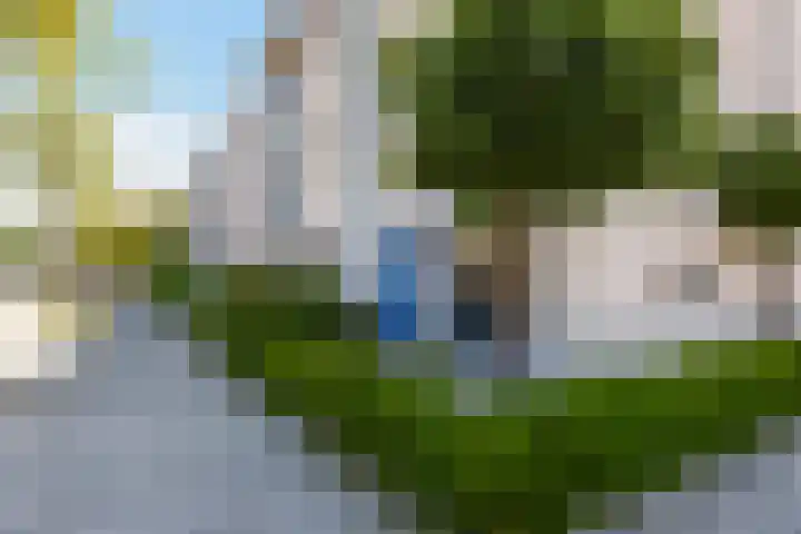 Raaphorstpolderweg 12 Gouda thumbnail 7