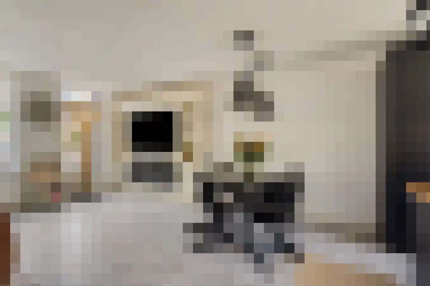 Raaphorstpolderweg 3 Gouda thumbnail 10